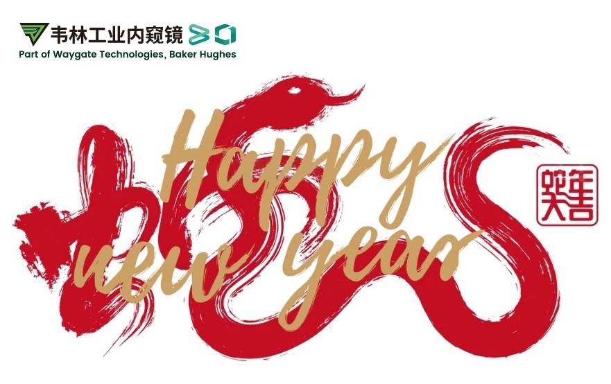 韋林公司祝您：蛇年大吉,福滿(mǎn)乾坤！